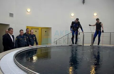 Белая акула всеволожск