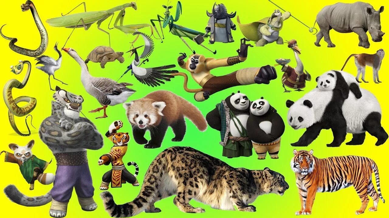 Тг канал животные. Кунг фу Панда животные. Стили зверей в кунг фу. Семь животных. Твои первые животные.