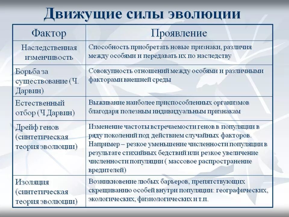 Движущие силы эволюции изоляция