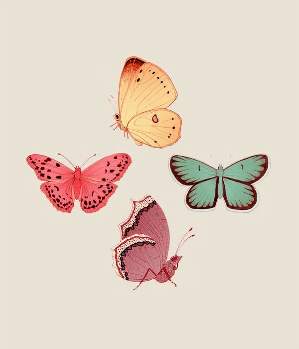 Fetching butterflies pixwox