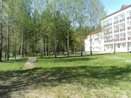 Жемчужина бора реабилитационный центр