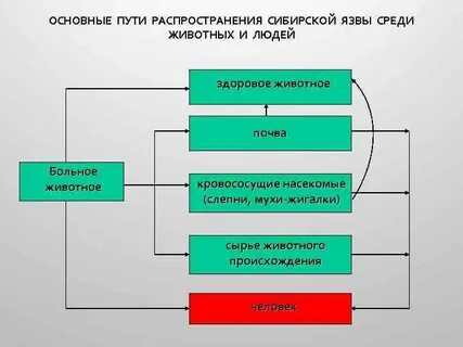 Основной маршрут