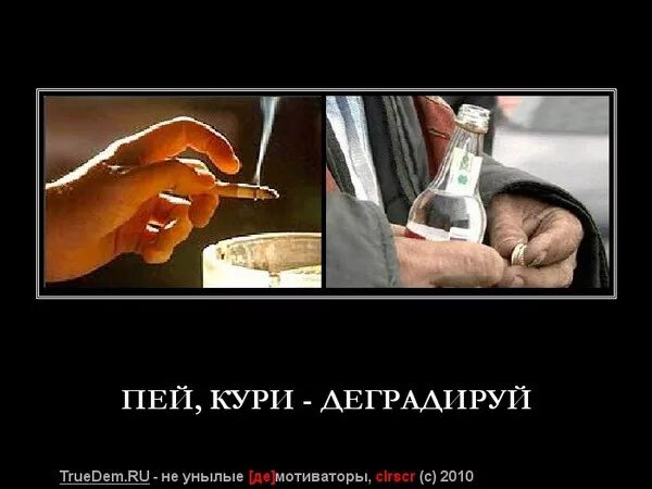 Не пьющий и не курящий парень