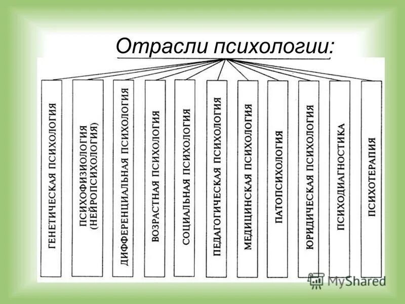 Общая психология кратко. Схема отраслей психологической науки. Отрасли психологической науки таблица. Структура современной психологии таблица. Основные отрасли психологии схема.