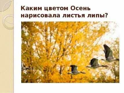 Скребицкий четыре художника осень текст