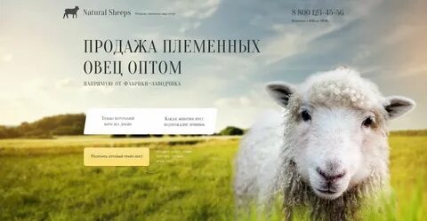 Реклама барашки