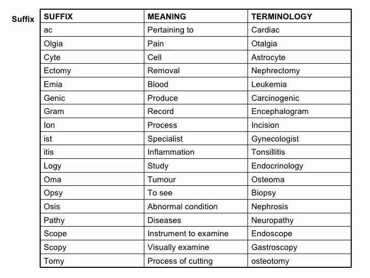 Воспаление латынь терминоэлемент. Суффиксы существительных в латинском языке. Суффиксы в латыни. Суффиксы в латинском языке. Суффиксы латынь значение.