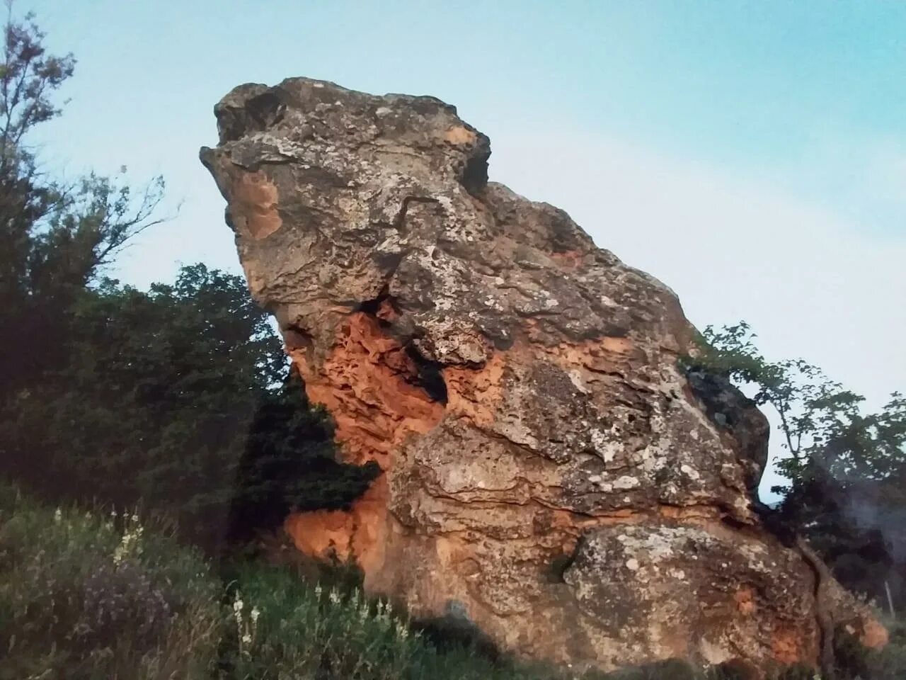 Ни камень. Камень лягушка село Александровское Ставропольский край. Скала лягушка Крым. Томузловский лес село Александровское. Скала лягушка Ставропольский край.