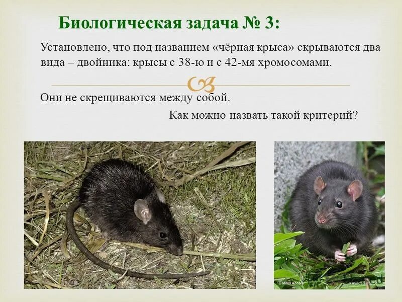 Токсичность в психологии. Скрытые сахара в продуктах названия. Татуированные люди с одеждой и без. Alan powdrill. Люди живущие без одежды.