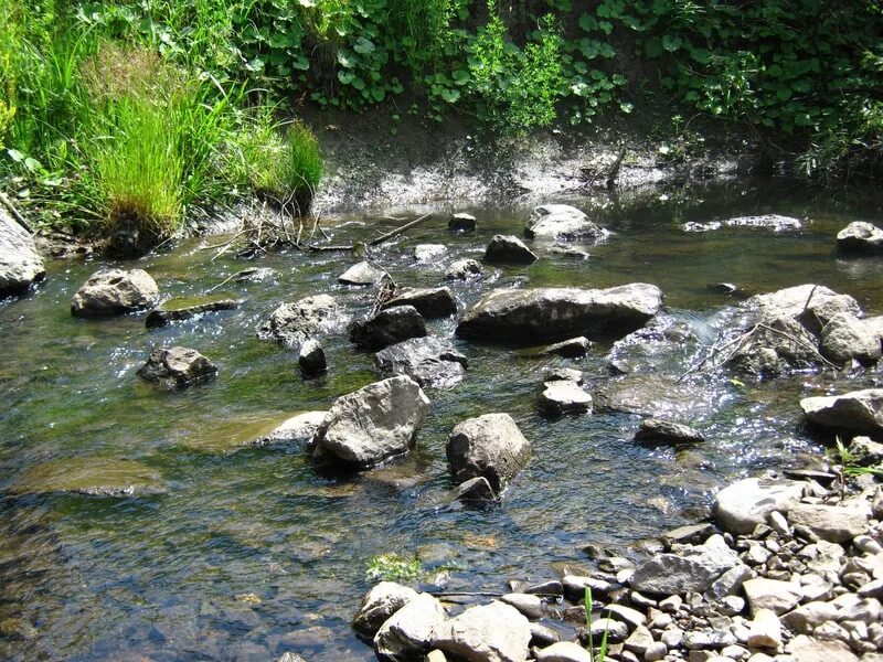 Вода бежит с ручьями споря. Камушки в ручье. Бежал ручей по камешкам. Родник бежит. Вода бежит.