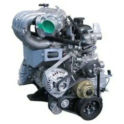 Ремень генератора умз 4216 евро 4 6рк. Умз-4216 evotech ремень. Умз 4216 евро 4 газель. Мотор умз 4216. Ремень умз 4216 евро 4.