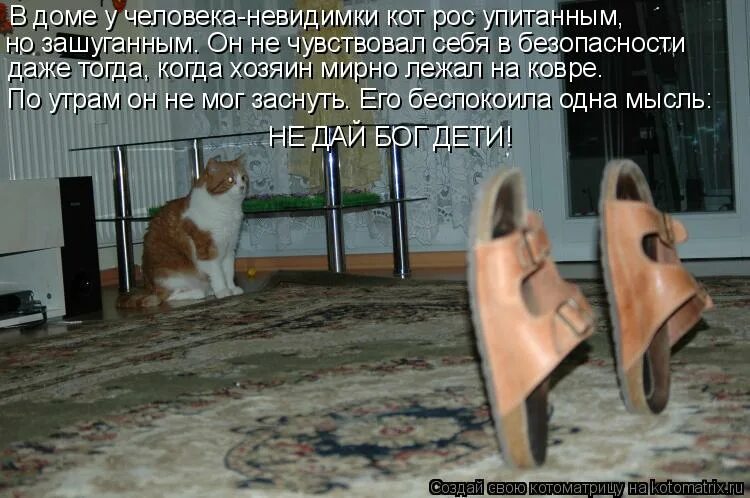 незаметные котики. фотографии невидимого кота. кот невидимка. незаметные котики. кот и хозяин.
