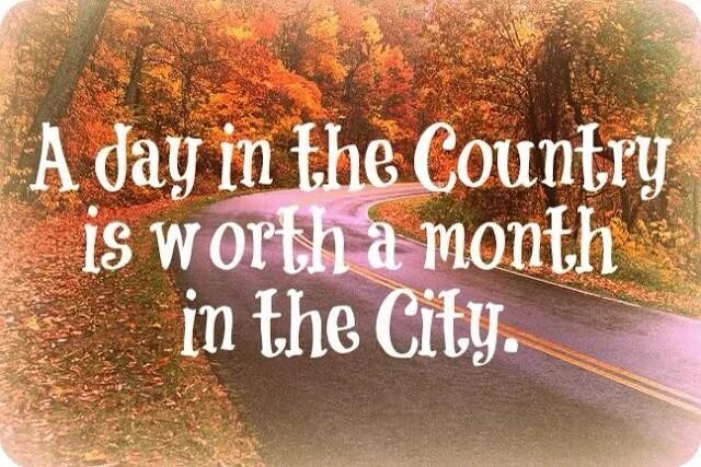 Month in the country. Life in the City and in the Country. Living in the Country Living in the City. City Life and Country Life. Quote about Living in Cities.