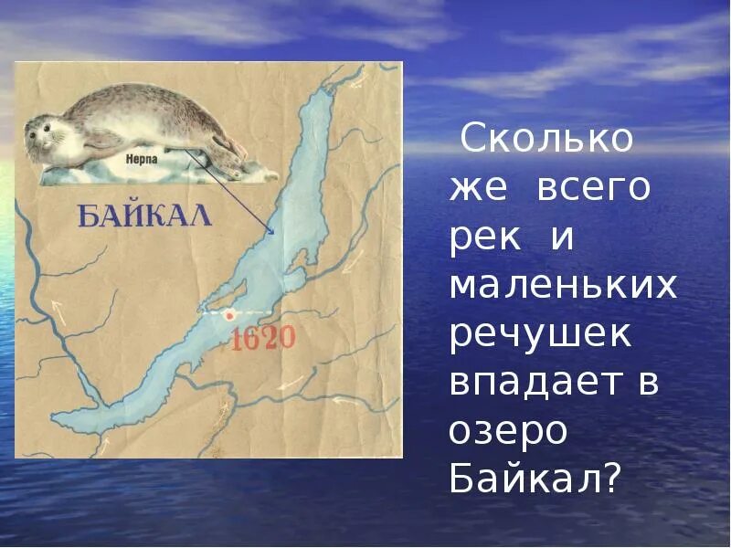 Сколько рек в байкале. Байкал реки впадающие и вытекающие. Сколько рек впадает в Байкал. Реки впадающие в озеро Байкал. Сколько рек впадает в озеро Байкал.