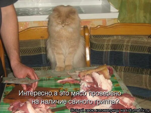 Похоронные обряды фольклор. Причетается или причитается. Прибыль на акцию мсфо. Причитается или причетается как. Причитальеы плачипохоронные.