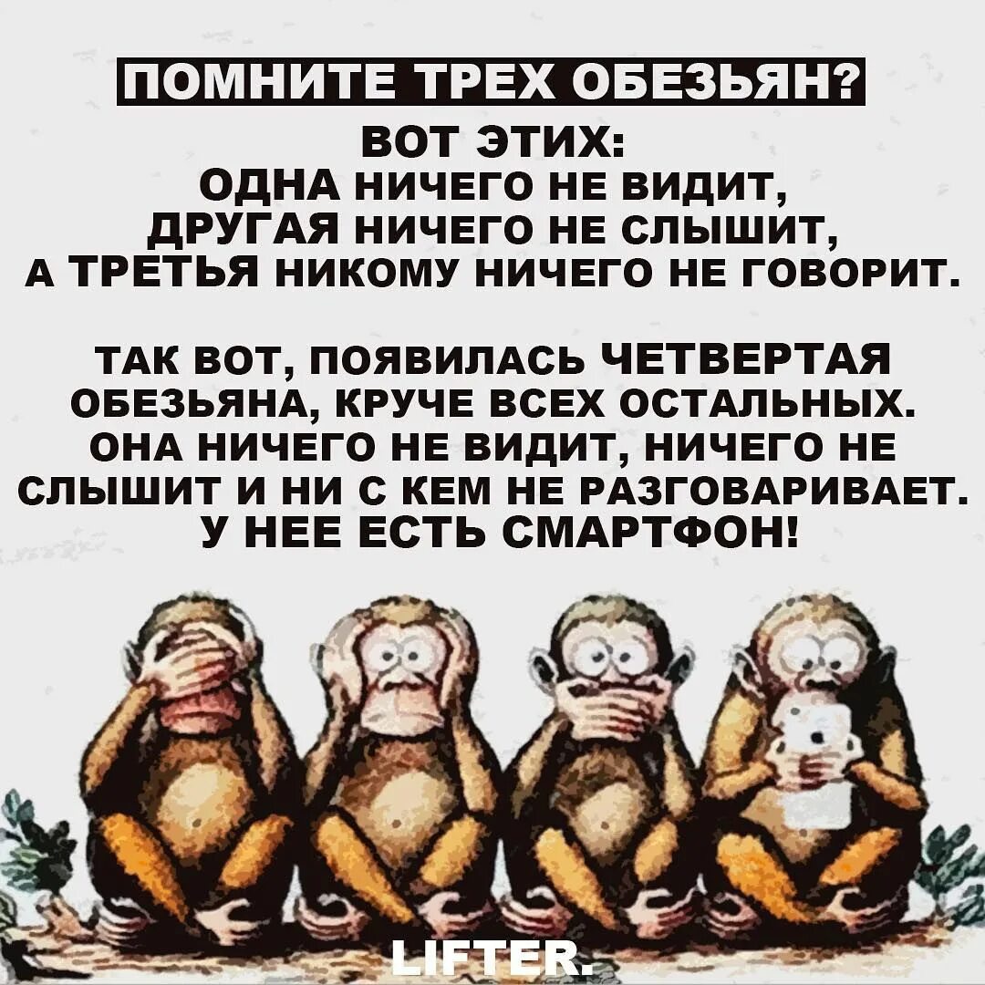 Обезьяны ничего не вижу не слышу. Четыре обезьяны. Появилась четвертая обезьяна. И наконец то появилась четвертая обезьянка. Три Мудрые обезьяны.