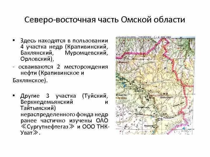 Какие природные богатства в омской области. Полезные ископаемые Омской области карта. Омская обл - полезные ископаемые. Природные ископаемые Омска. Омская область месторождение полезных ископаемых на карте.