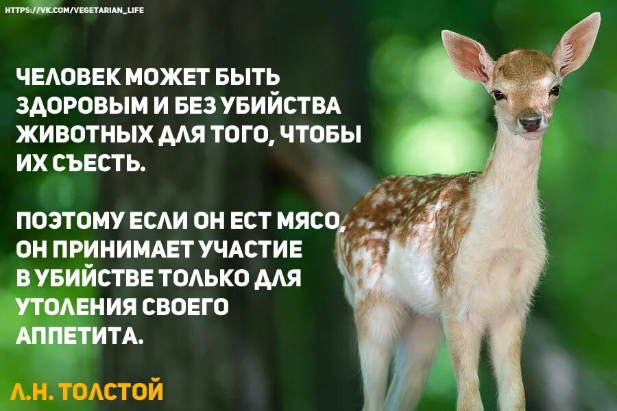 Что общего у греха и зверя