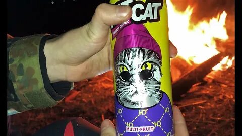 Hot cat