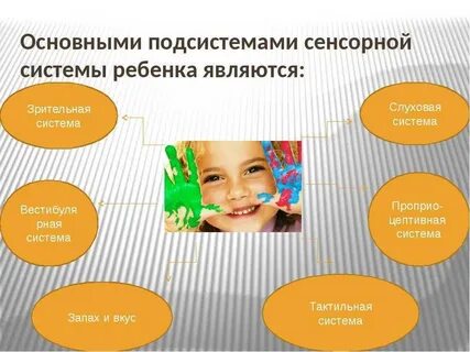 Сенсорное и эмоциональное развитие ребенка