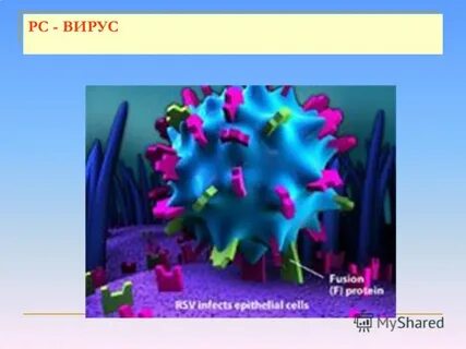 Рс вирусная