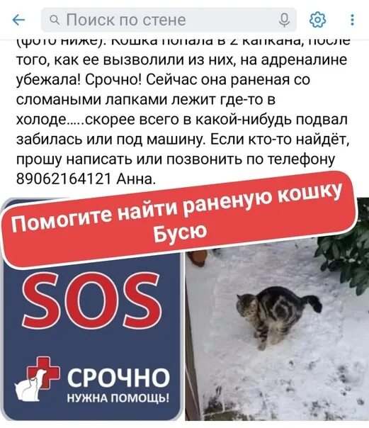 Способы найти кошку