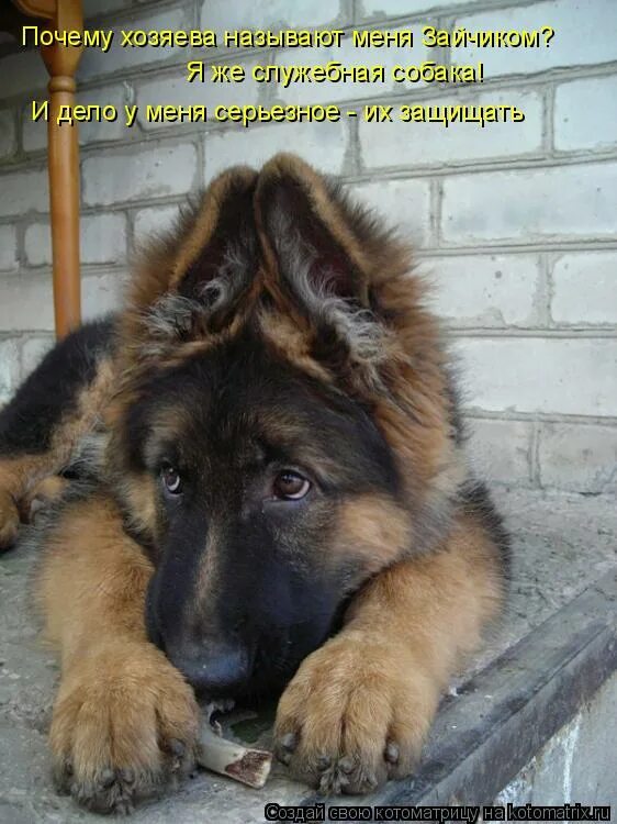 твой билет в любовь. как понять фразу в этом чтото есть. диафильм быть человеком. уже вечерело солнце скрылось за небольшую осиновую рощу лежавшую. ой простите.