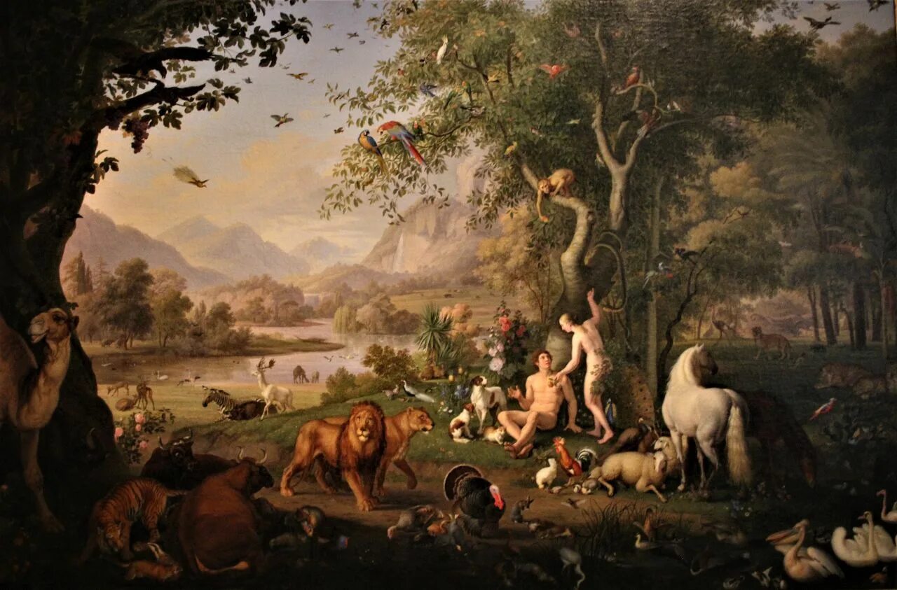 что ели в раю