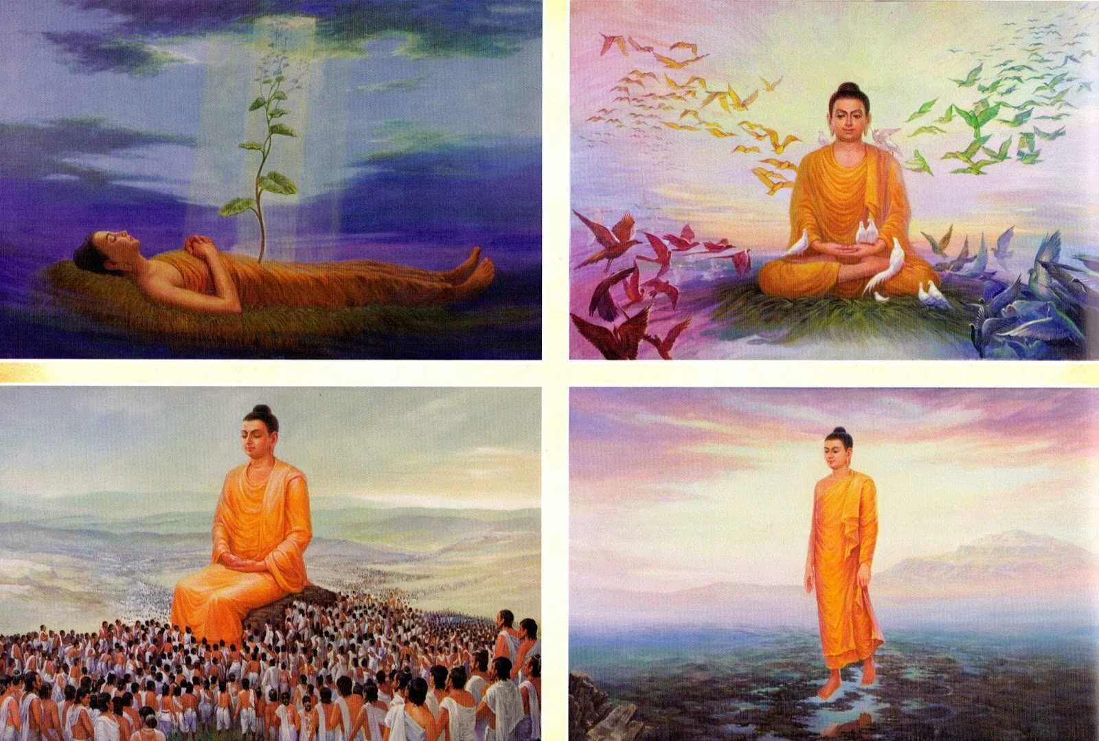 Тест будды. Сиддхартха Гаутама Будда. Принц Гаутама Сиддхартха Шакьямуни. Сиддхартха Гаутама Будда жизнь. Будда Гаутама и Будда Шакьямуни.