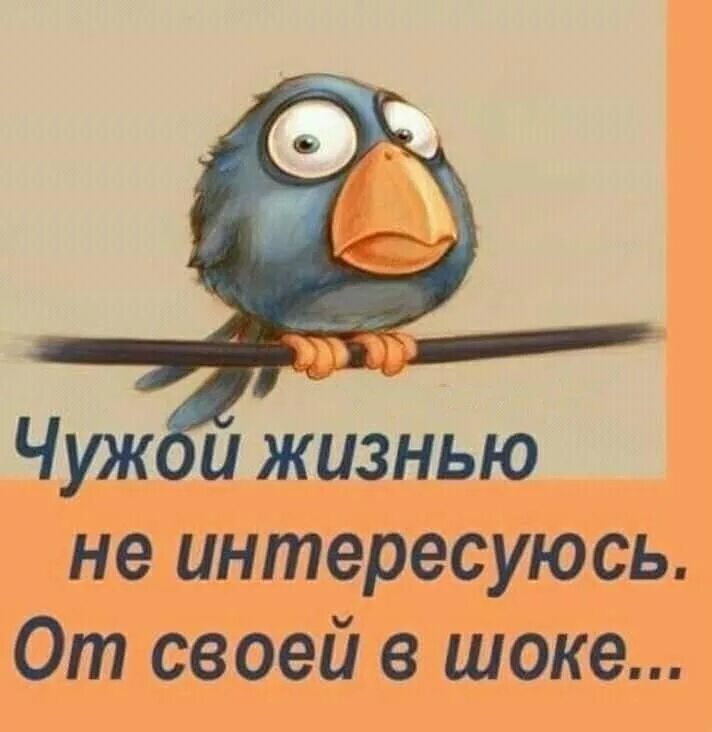 Не интересуют интересы