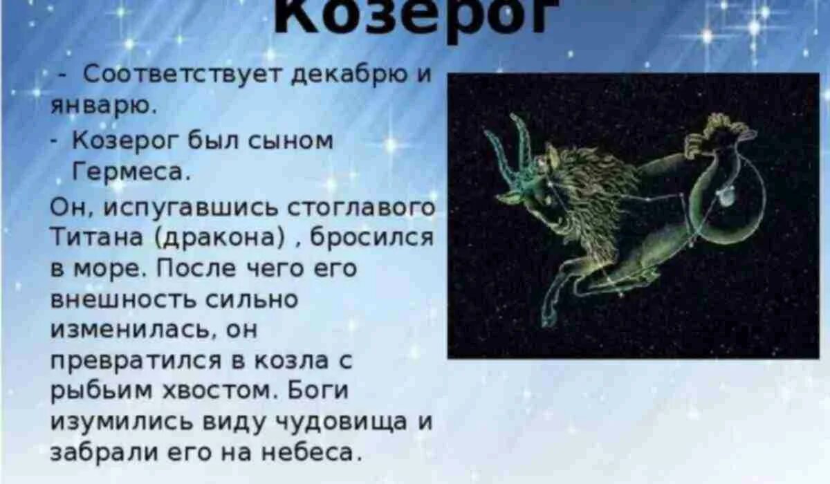 Козерог проявляет