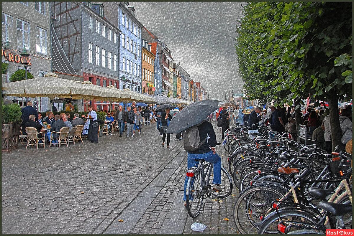 дания. климат дании. дания снег. дождь в дании. тольбель дания.