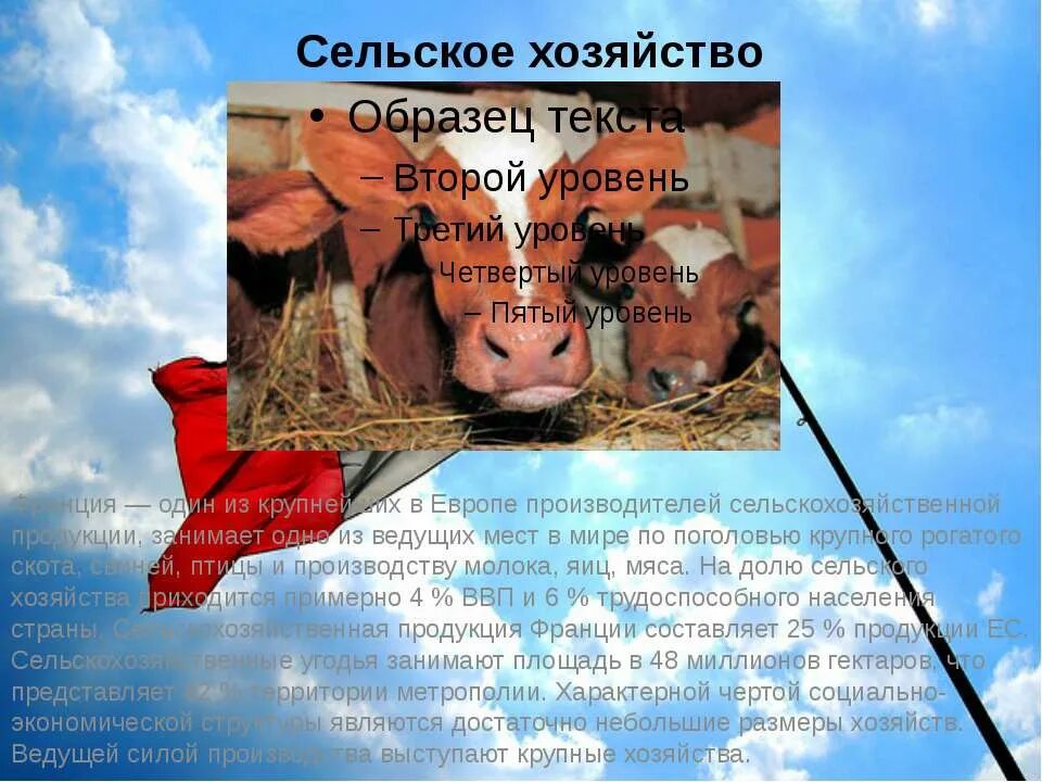 Продукция сельского хозяйства франции. Сельское хозяйство франции презентация. основные черты размещения сельского хозяйства франции. хозяйство примеры.