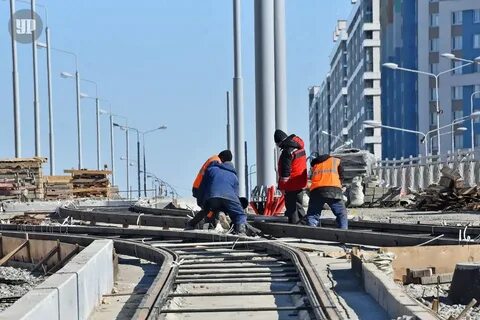 Когда запустят трамвай в академическом
