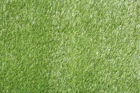 Grass 0