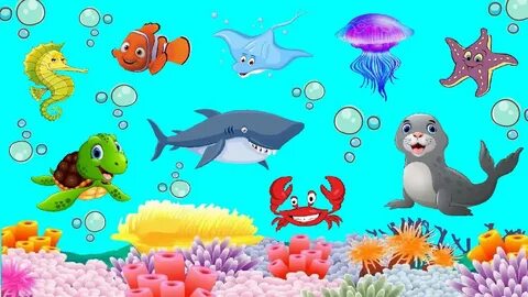 Морские животные развивающее видео для детей