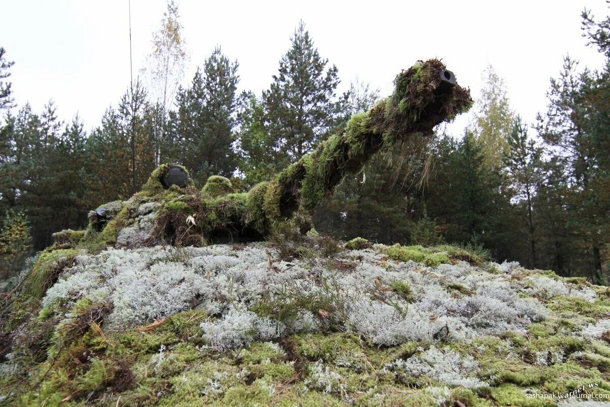 Лесной камуфляж леший. Организация тактической маскировки. Средства маскировки. Тактическая маскировка. Маскировочный комплект мкт-4.