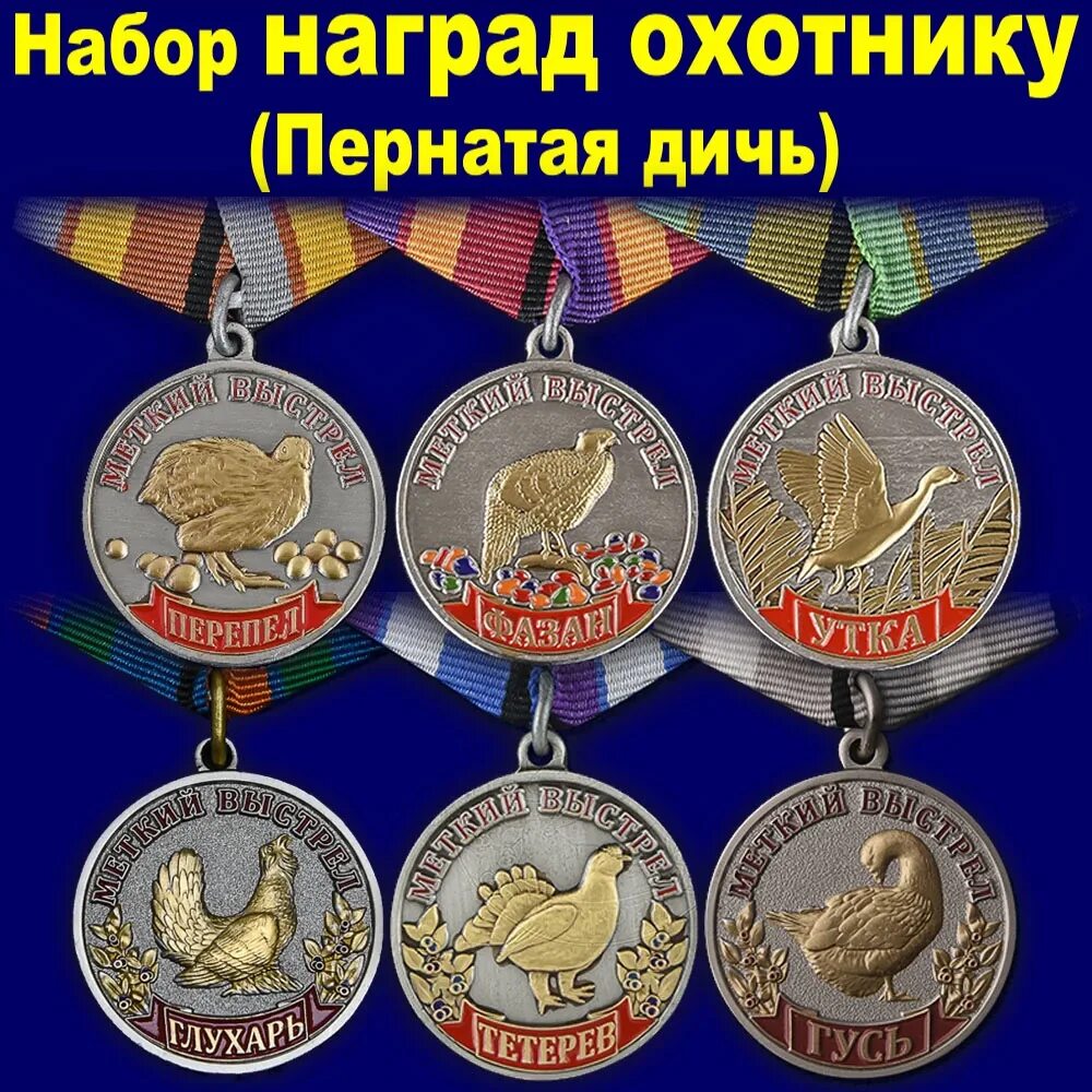 Охотничьи медали. Медаль медведь меткий выстрел. Охотничьи награды. Медаль охотнику. Медаль охотнику.