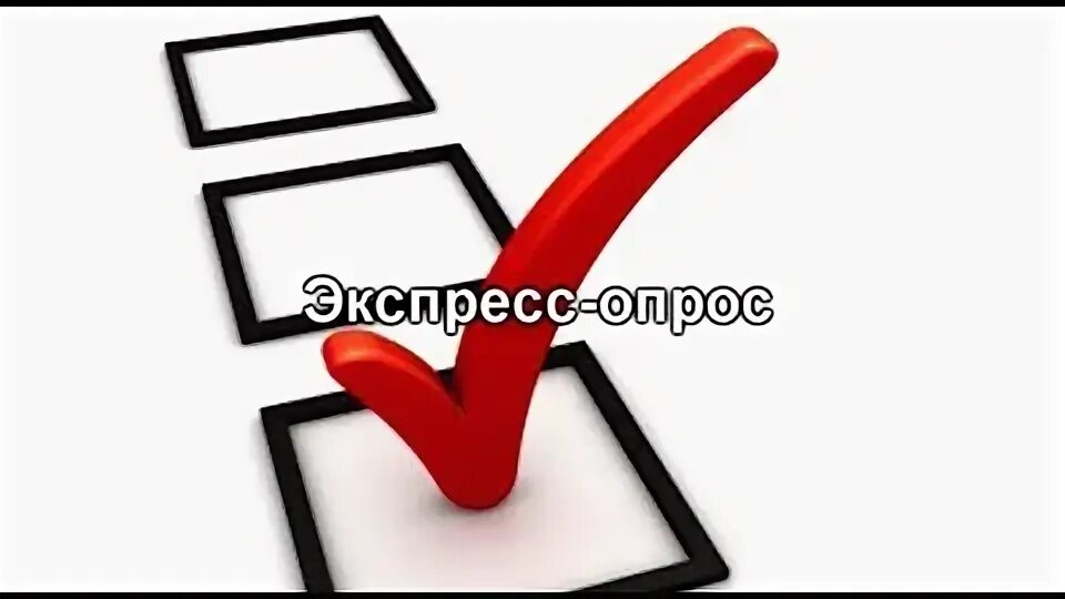 Express an answer. Gain это английское. Ocean network express эмблема. 1978 год на английском. Экспресс ответ.