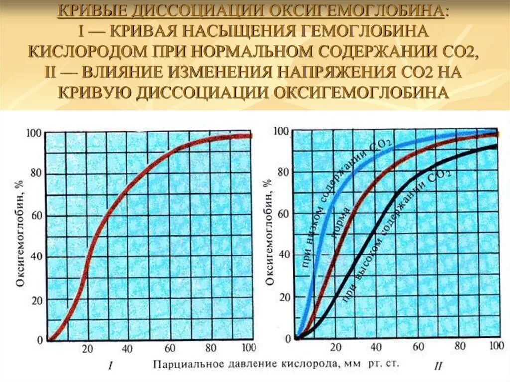 Кривая образования и диссоциации оксигемоглобина. Сдвиг диссоциации оксигемоглобина вправо. Кривая насыщения оксигемоглобина. Факторы диссоциации оксигемоглобина.