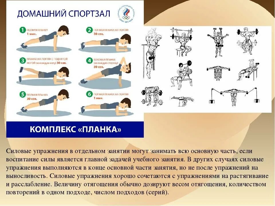 Упражнения с собственным весом. Силовые упражнения комплекс упражнений. Силовая тренировка комплекс упражнений. Комплекс силовой тренировки.