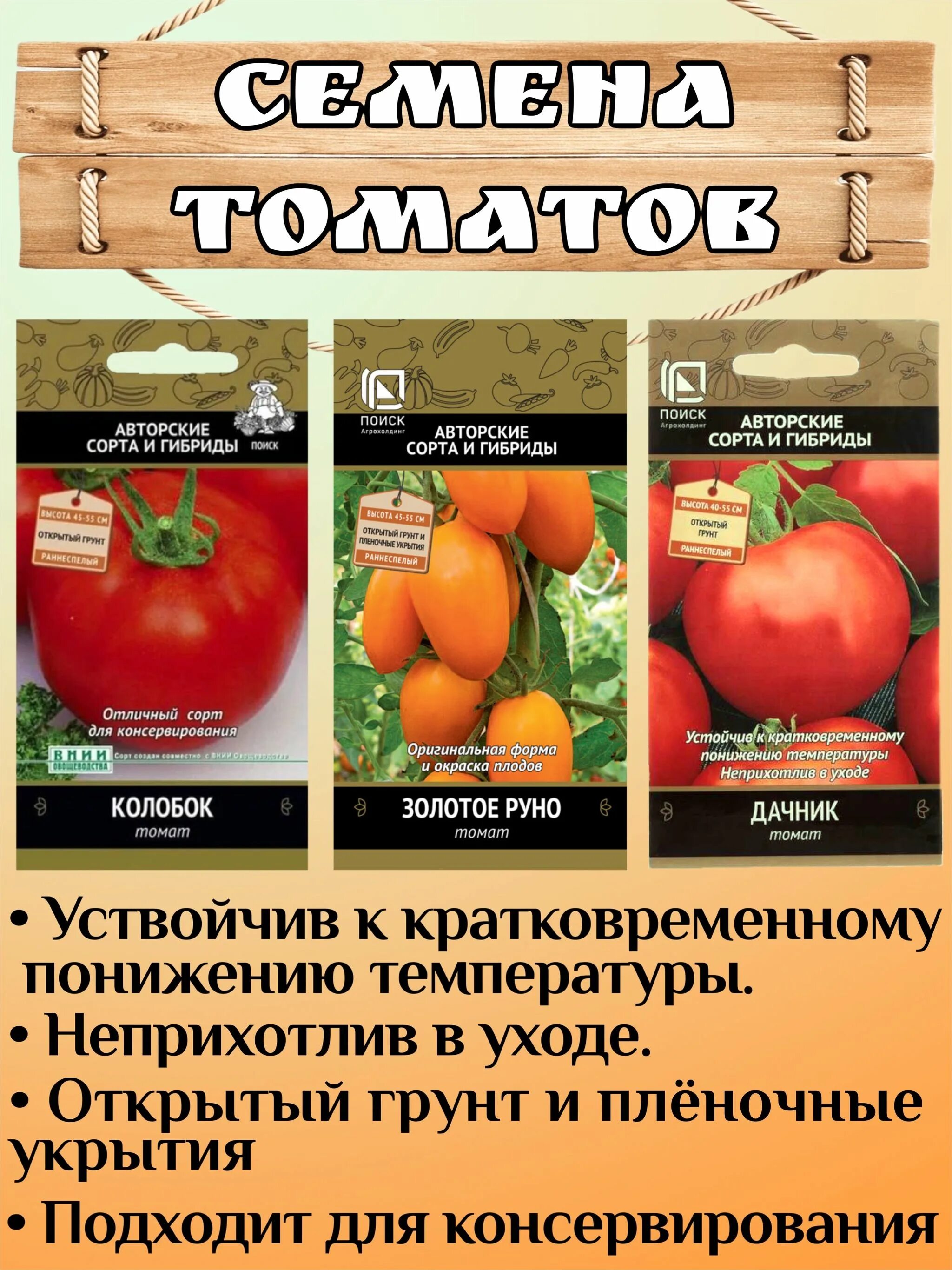 Томат колобок отзывы фото. Томат колобок отзывы фото. Томат колобок поиск. Томат колобок характеристика и описание. Томат золотое руно.