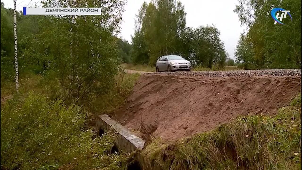 Погода демянск новгородская на неделю. Демянск и Демянский район. Явонь Демянский район. Шульгина гора Демянского района Новгородской области. Деревня Шульгина гора Демянский район.