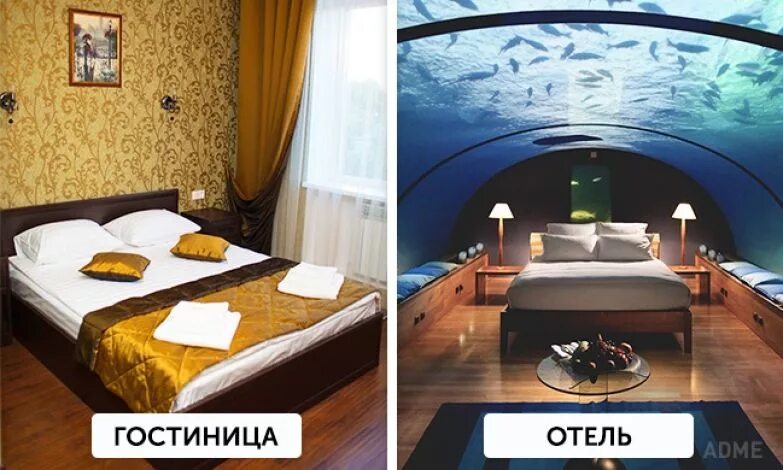 в чем разница между отелем и гостиницей. номер в гостинице. отель 3 звезды. в чем разница между отелем и гостиницей. разница между хостела и отеля.