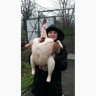 Индейка 6 кг