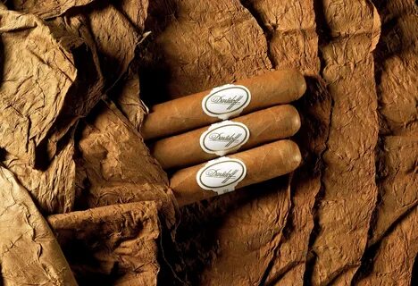 Cigars tobacco