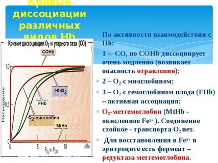 Кривые диссоциации кислорода