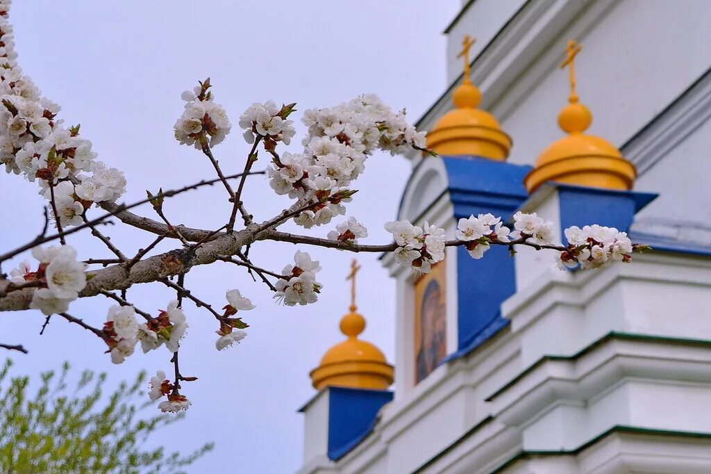 Русской весной в Харькове.