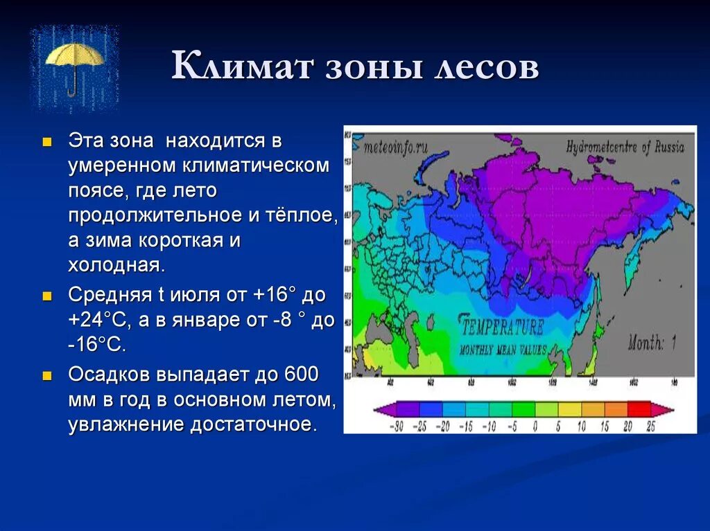 Климатический пояс широколиственных. Зона лесов смешанные широколиственные климат. климат смешанных и широколиственных лесов. климат смешанных и широколиственных лесов в россии. климат пояс зона широколиственных лесов.