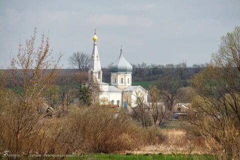 Село льгов